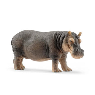 Schleich WILD LIFE Hippo 14814