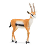 Schleich 14861 Thomson Gazelle | 5 Stéck