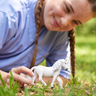 Schleich | 5 stuks