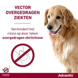 Bayer Elanco Advantix Spot na