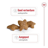 Royal Canin Mini Erwuessene