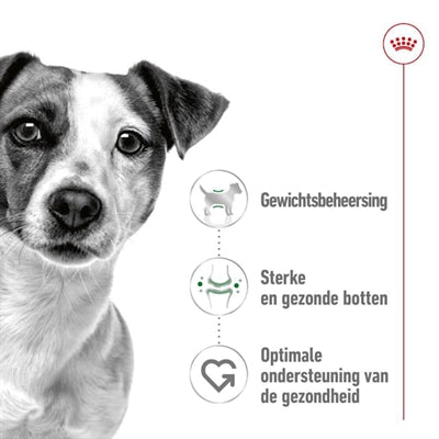 Royal Canin Mini Erwuessene