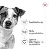 Royal Canin Mini Erwuessene