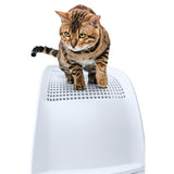 IMac litter box frida with drawer light blue