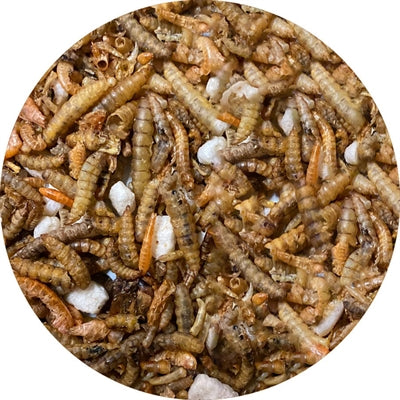 Utopia insect mix