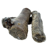 Pet snack stuffed buffalo trunk