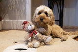 Rosewood brie bear le hata agus scairf dearg