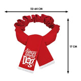 APPONDANT CADEAUX SCARF DE NOIND SCARF SANTA DIGN RED