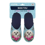 Slipper shih tzu light blue dark blue