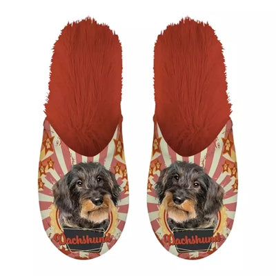 Slipper Dackel Dackel orange