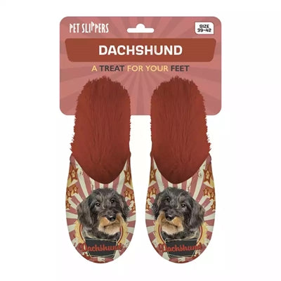 Slipper Dackel Dackel orange
