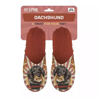 Pantoffel dachshund teckel oranje