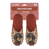 Pantoffel dachshund teckel oranje