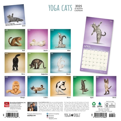 Kalender yoga cats 2025