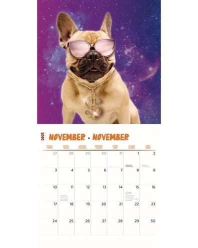 Kalender crazy dogs 2025