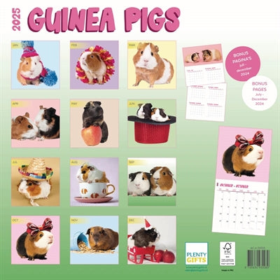 Kalender cavia's studio 2025