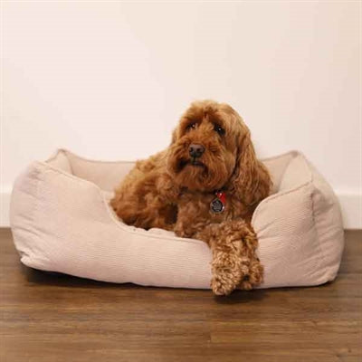 Rosewood 40 Winks Cordon de panier de chien Ribstof Beige