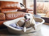 Rosewood Dog Cushion Todas las estaciones