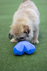 Battersea alimentant la balle hart en caoutchouc bleu