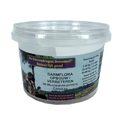 Animal drugstore intestinal flora building improving capsules