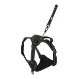 Zolux easyride dog harness black