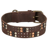 Trixie dog collar rivet rustic greased leather dark brown