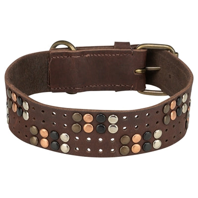 Trixie halsband hond rivet rustic vetleer donkerbruin