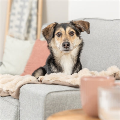 Trixie deka pro psa elli sand