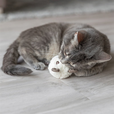 Trixie Bär mat Catnip Plüsch assortéiert