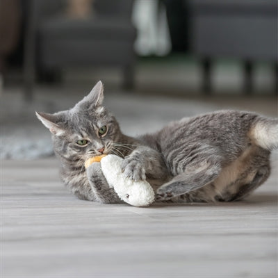 Trixie schloofend Gesiicht mat Catnip Plüsch assortéiert