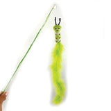 Happy pet tabby patch cat rod caterpillar green