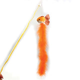 Happy pet tabby patch cat fishing rod goldfish orange