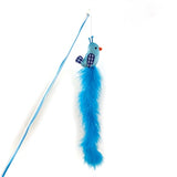 Happy pet tabby patch cat rod bird blue