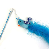 Happy pet tabby patch cat rod bird blue