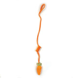 Happy pet tabby patch carrot bungee
