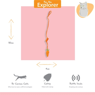 Happy pet tabby patch carrot bungee