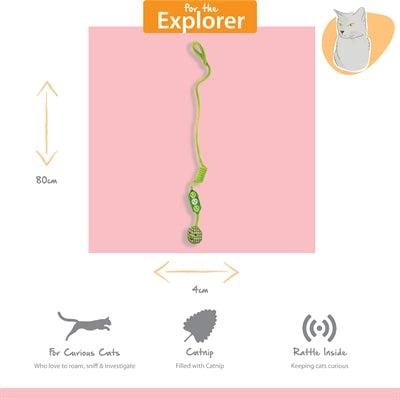 Happy pet tabby patch pea bungee