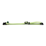 Happy pet tabby patch collar cat diamond green