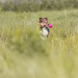 Trixie Throw Ball Soft Strong TPR Pink