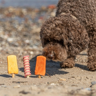 Trixie ice pop orange