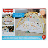 Fisher Price opplever ganske enkelt babygym