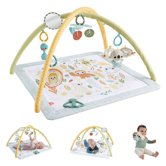 Fisher Price opplever ganske enkelt babygym