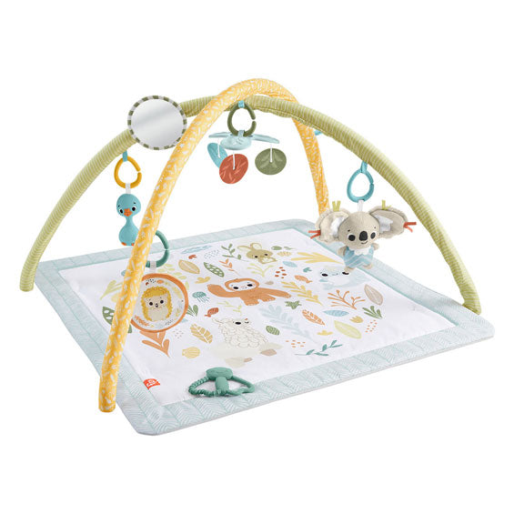 Fisher Price opplever ganske enkelt babygym