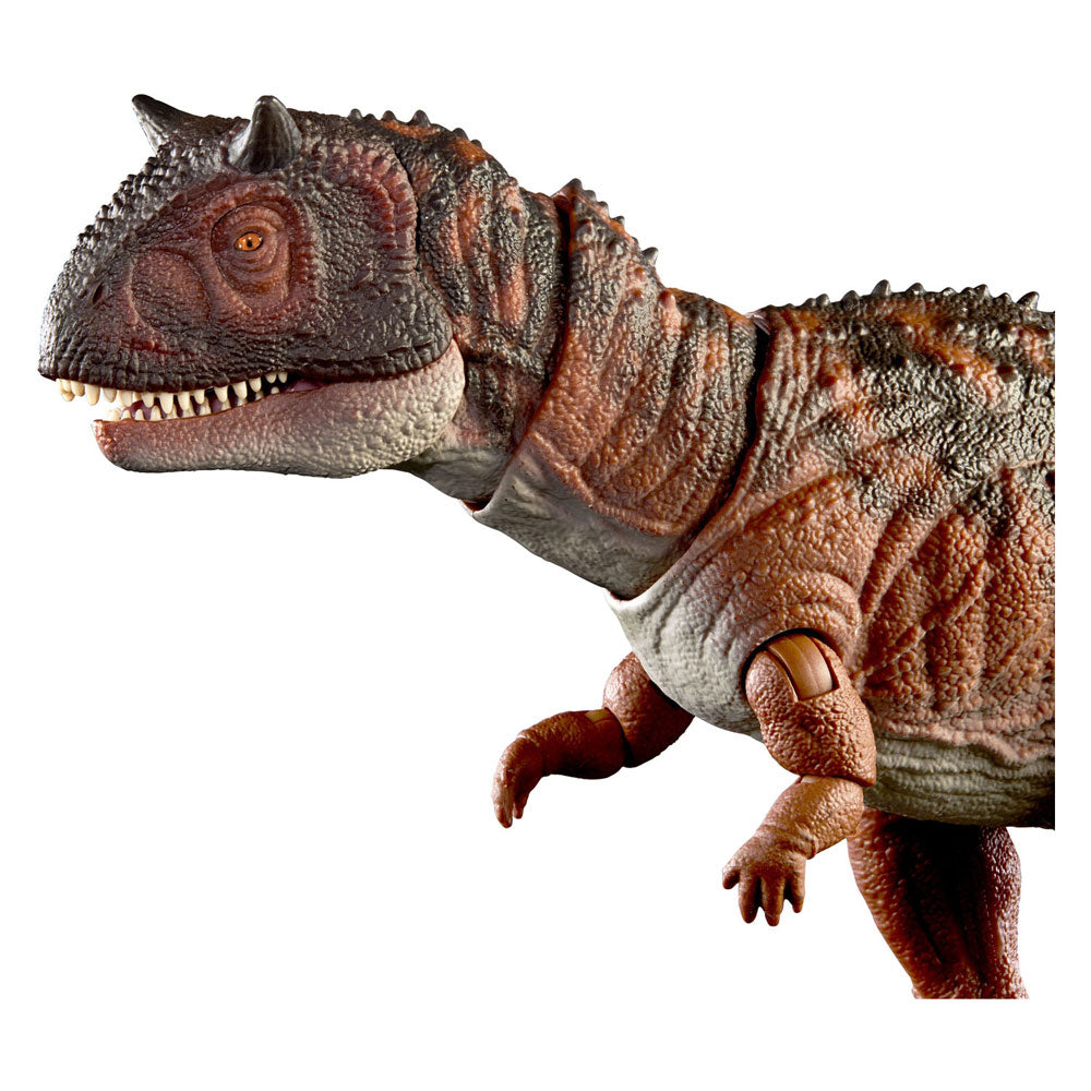 Mattel Jurassic World Hammond Collection Carnotaurus Dinosaurus Play Figure