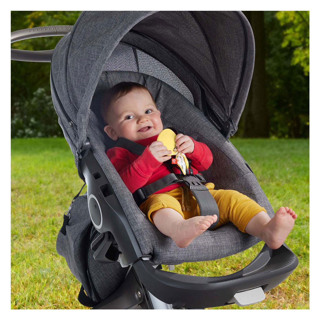 Fisher price bite rattle rabbit