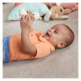 Fisher price bite rangle and