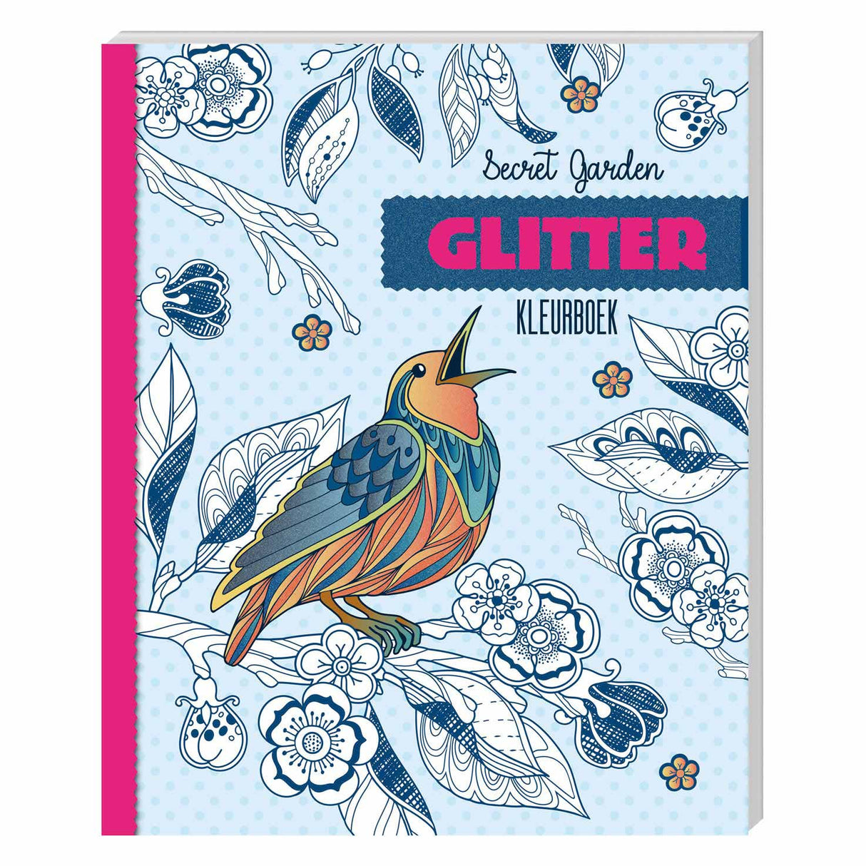 Glitter Faarfbuch - geheime Gaart