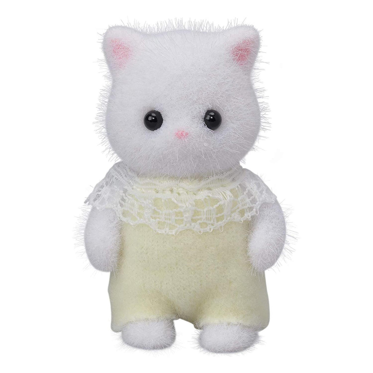 Sylvanijos šeimos 5456 persų katės