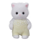 Sylvanijos šeimos 5456 persų katės