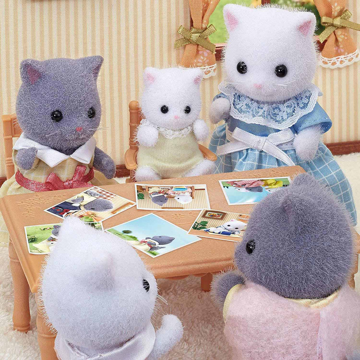 Sylvanijos šeimos 5456 persų katės